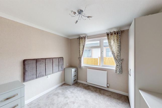 The Newmarket, 114, Pont Pentre Park, Pontypridd photo 2