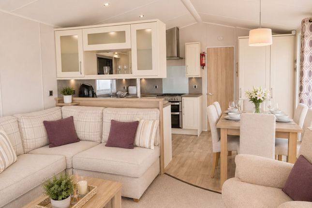 Willerby Aspen, Butt Lane, Great Yarmouth photo 5
