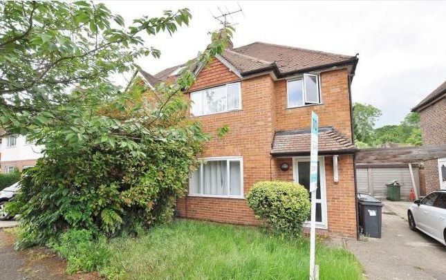 Thumbnail Semi-detached house to rent in Beech Grove, Guildford