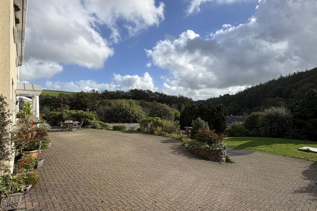 South Molton photo 4