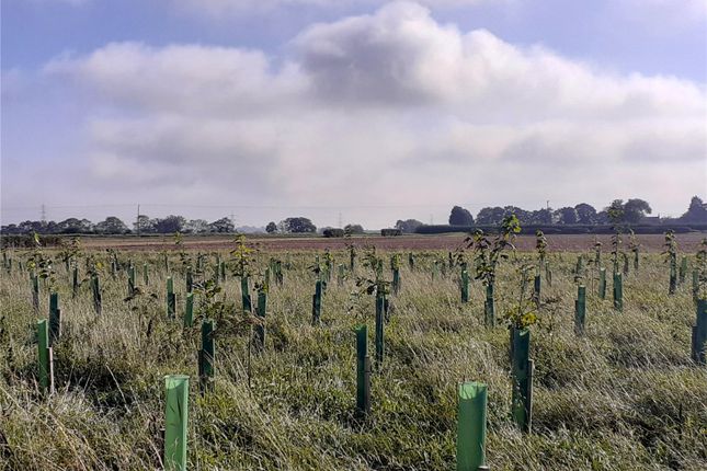 Land for sale in Cottam, Retford