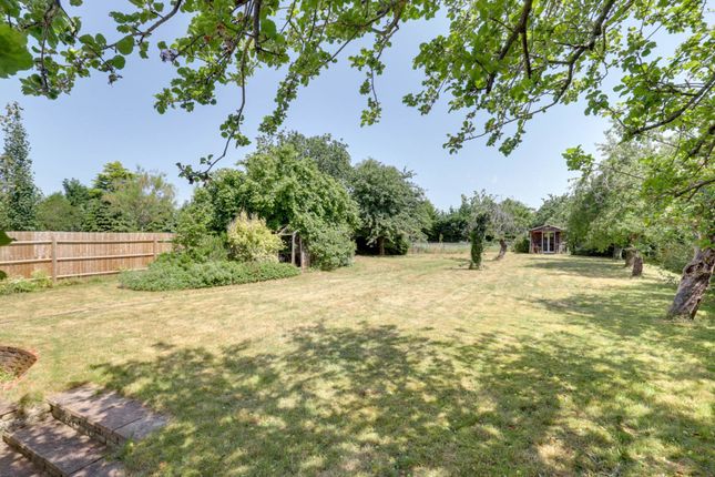 25, Gravel Hill, Reading photo 2