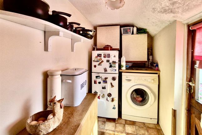 7 Thomas Terrace photo 4