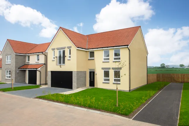 David Wilson Homes - Valley Park