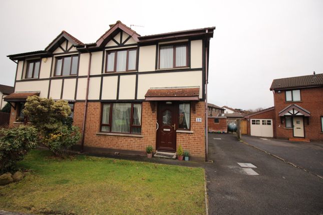 Thumbnail Semi-detached house to rent in Ashbourne Park, Lisburn, County Down