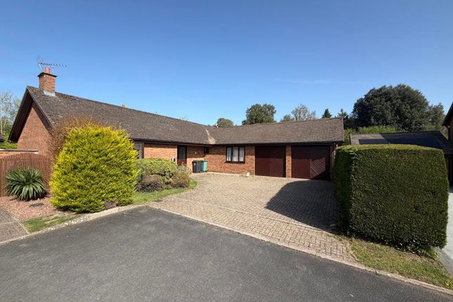 3-bed house on 10, Highgrove, Taunton, £2,300/mo