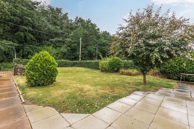 45 Sandy Lane, King's Lynn photo 4