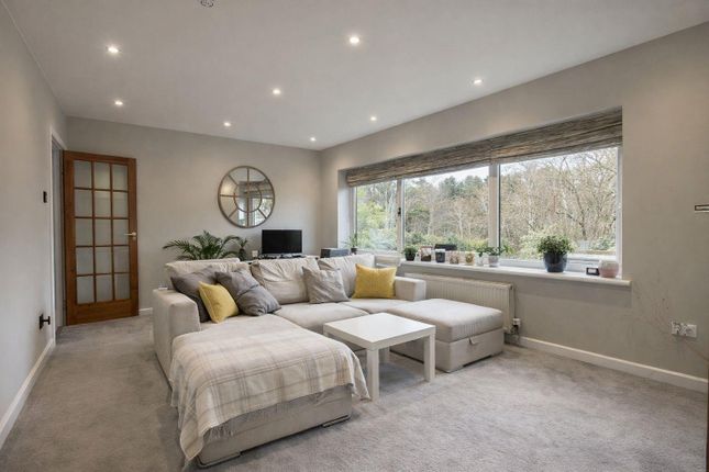 80, By The Wood, Watford photo 3