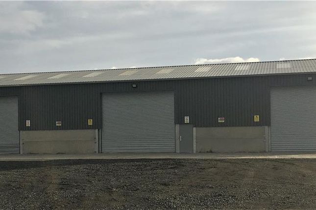 Industrial to let in New Build Sheds, Caledonian Auction Mart, Stirling Auction Centre, Stirling