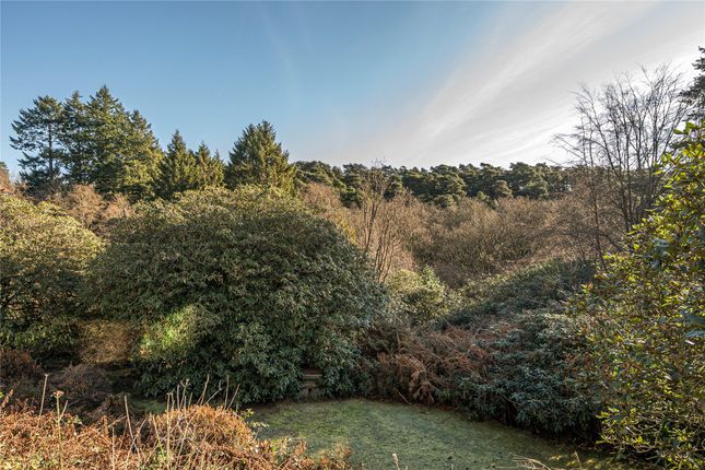 Flat 9, Nutcombe Heights, Hindhead photo 2