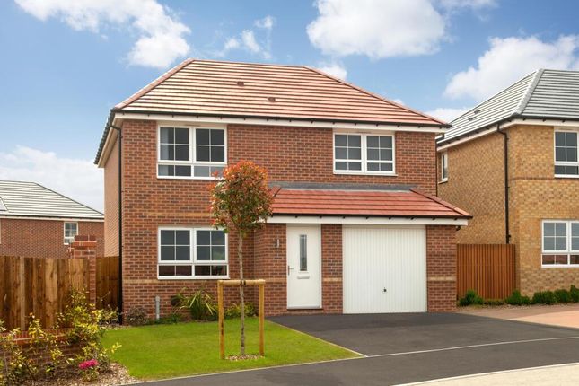Plot 97, Plot 97, The Kennford, The Hawthorns, Sutton-In-Ashfield photo 4
