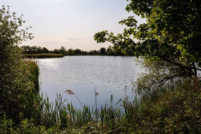 Evers Road, Faversham photo 3