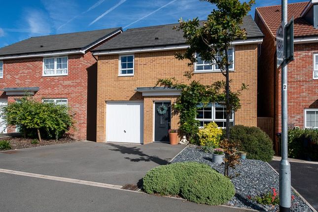 10 Widnall Drive-4.Jpg