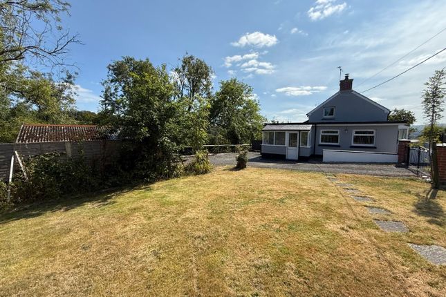 Maesyderi, Penrhiwllan, Llandysul photo 3