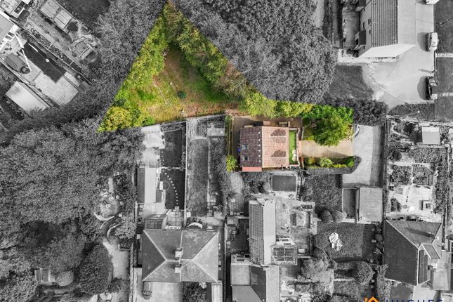 2A, Roscoe Mount, Sheffield photo 3