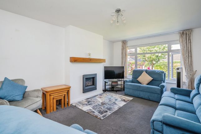 Lynden, 26, Southbourne Avenue, West Sussex photo 3