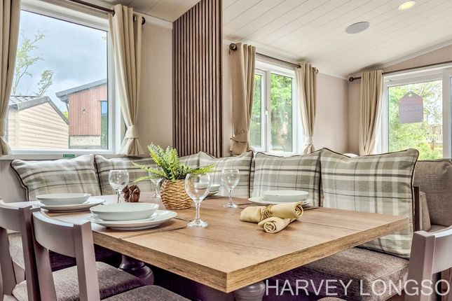 Hedley Wood Holiday Park, Bude photo 4