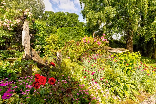 Park Cottage,, Weston Under Redcastle, Shropshire photo 4