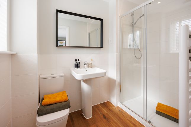 Vdsw Bh Pastures Rowan (7)