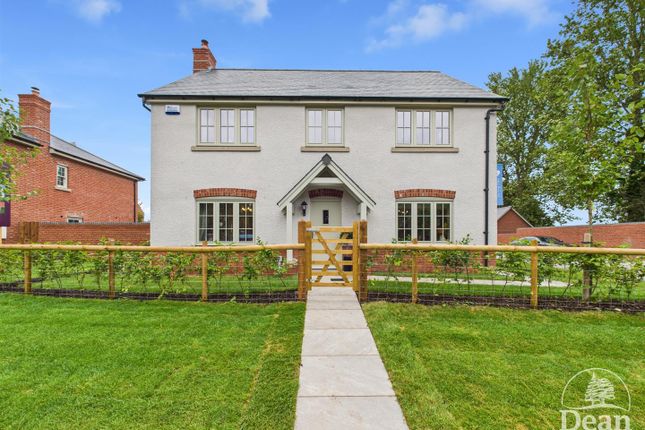 Show Home