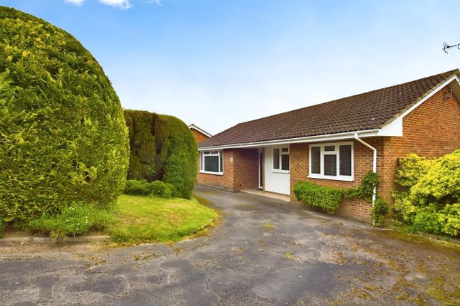 Thumbnail Detached bungalow for sale in Hill Place, Bursledon, Southampton