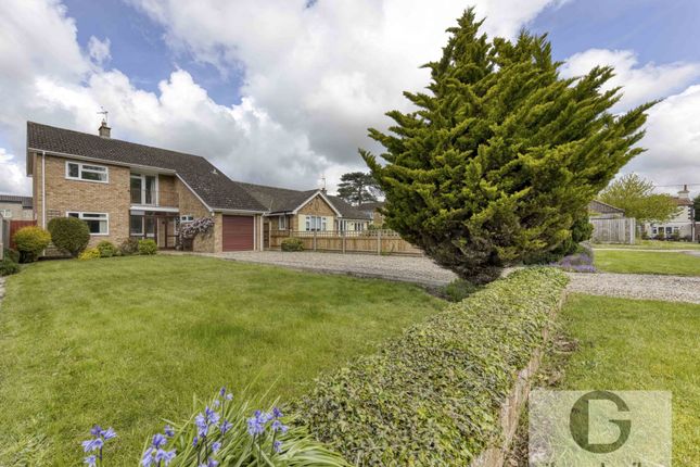 Thumbnail Detached house for sale in Chancel Close, Brundall