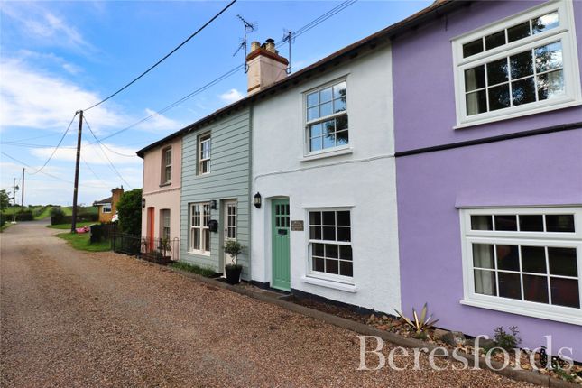 Thumbnail Terraced house for sale in Brook Hall Cottages, Steeple Road