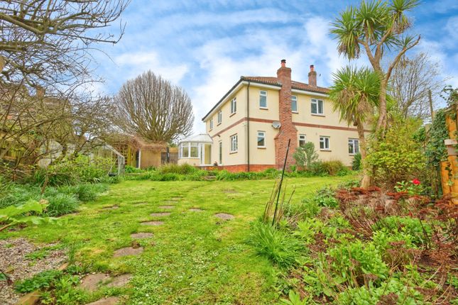 Thumbnail Detached house for sale in Ash Grove, Wells