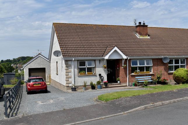 14, Joe Tomelty Drive, Newtownards photo 3