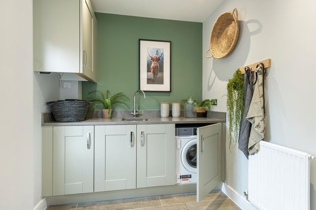 Useful Utility For Laundry