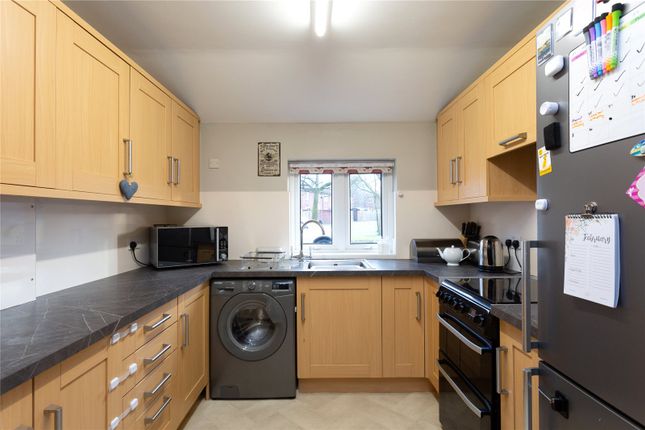 Photos