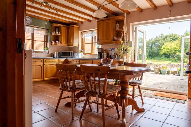 "Langdon Bridge Farm", Begelly, Kilgetty photo 2