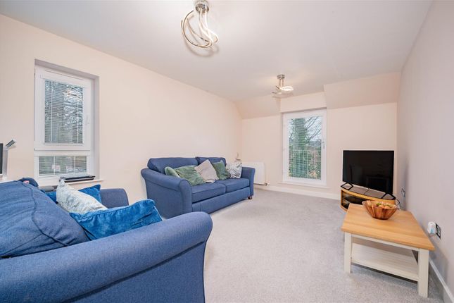 106, Braes Of Gray Road, Dundee photo 3