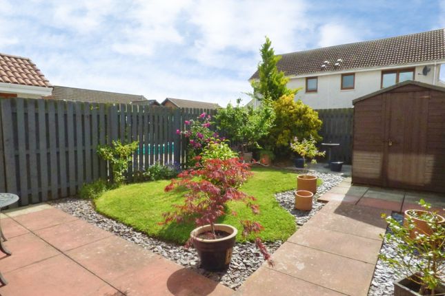 52, Napier Street, Kirkcaldy photo 4