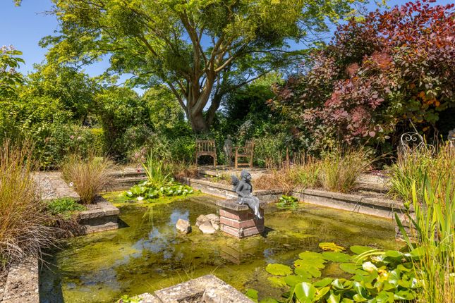 Pond