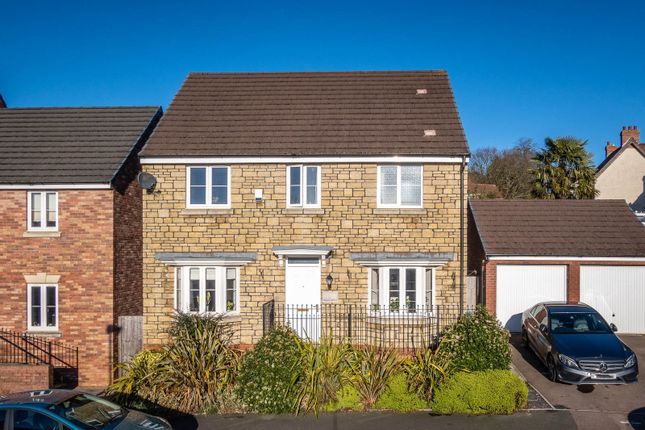 Thumbnail Detached house for sale in Meadow Rise, Lydney