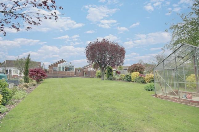 Thumbnail Detached bungalow for sale in Argyle Crescent, Fareham, Hampshire