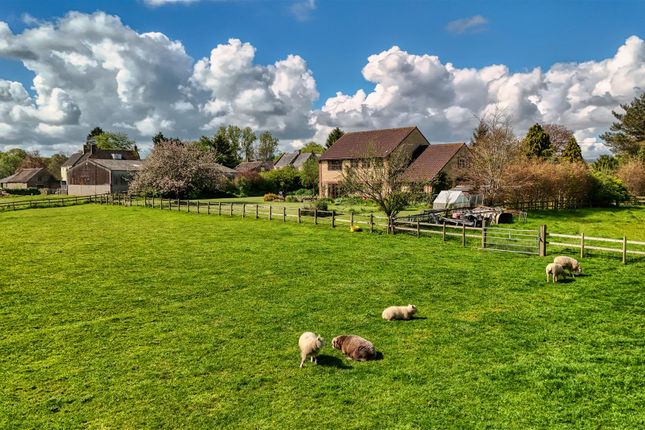 Farmhouse for sale in Halstock, Yeovil, Dorset