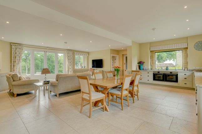 Kitchen/Living Area