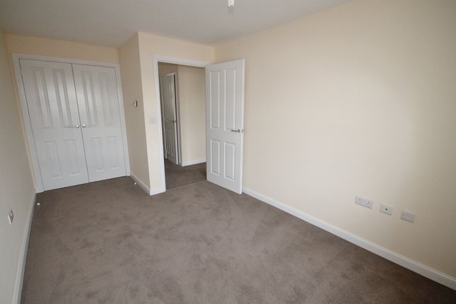 172, Bristol photo 4