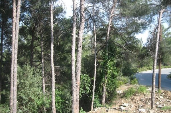 Land for sale in Moniatis, Limassol, Cyprus