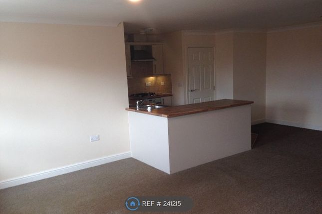 Open Plan Living Room/Kitchen