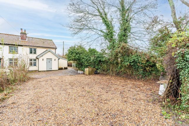 Thumbnail Semi-detached house for sale in Southburgh, Thetford