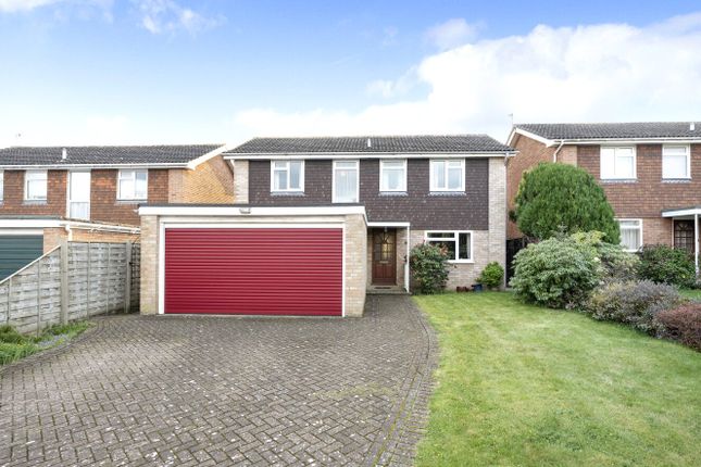 Thumbnail Detached house for sale in Jacob's Well, Guildford, Surrey