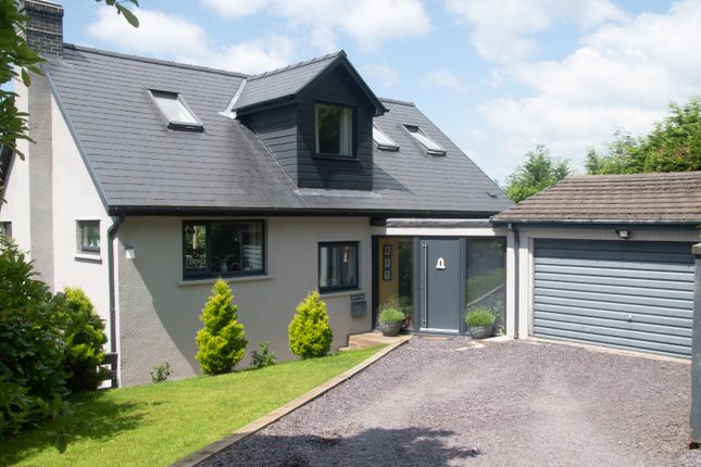 Thumbnail Detached house for sale in Taliesin, Machynlleth