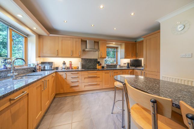 74, Medstead Road, Alton photo 4