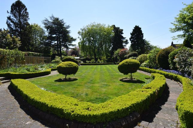 Dsc_0035.Jpg
