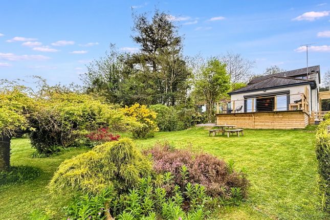 Harwood Cottage, Yelverton photo 4