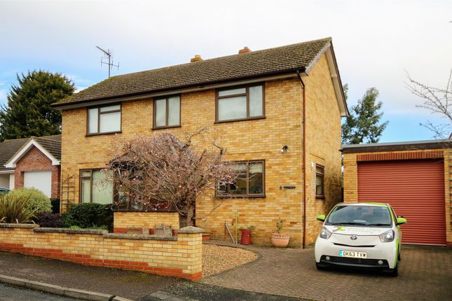 Thumbnail Detached house to rent in Dovehouse Close, Ely