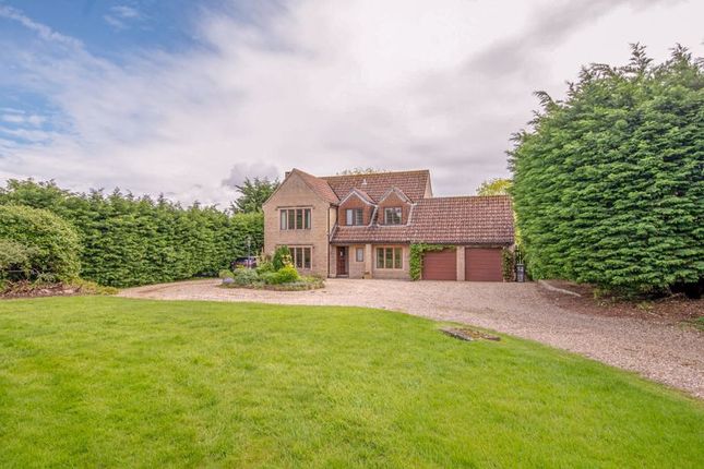 Thumbnail Detached house for sale in Bower Hinton, Martock